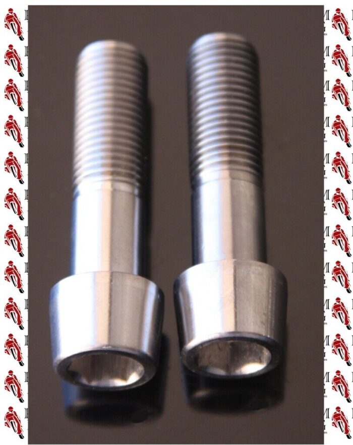 DUCATI DIAVEL TITANIUM SWING ARM SWINGARM BOLTS SILVER (ALL MODELS)