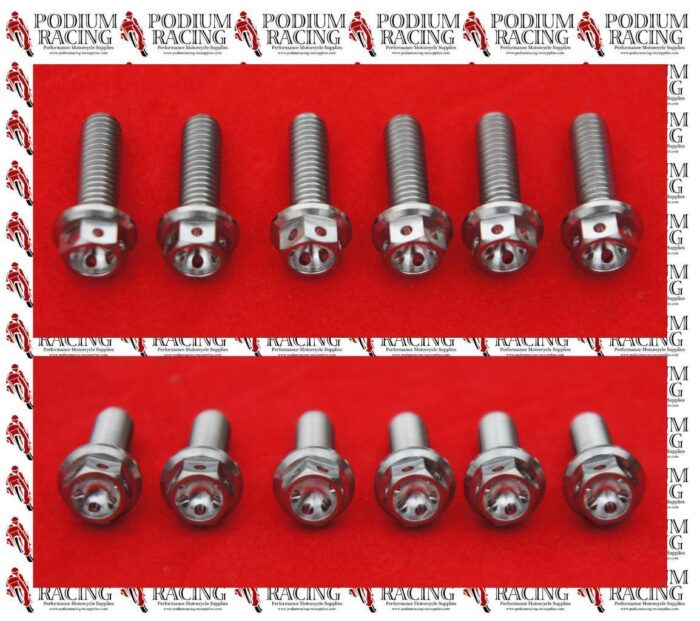 DUCATI 1199 899 PANIGALE RACE DRILLED CLUTCH COVER BOLTS IN SILVER TITANIUM